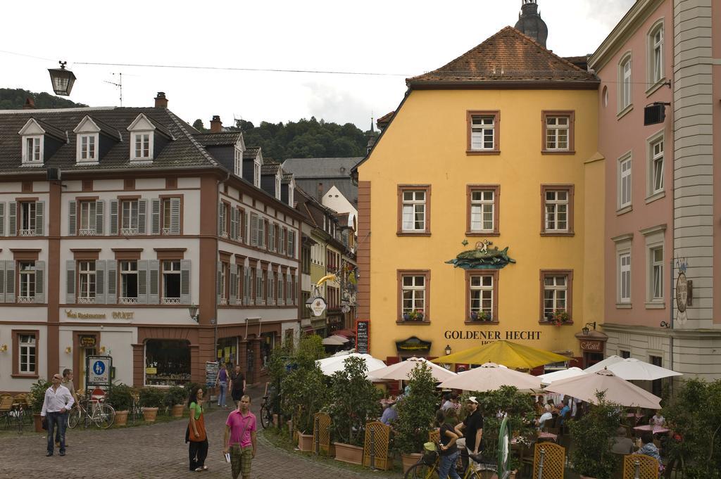 Goldener Hecht 3*